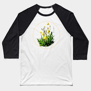 Flower Series  - Iris with transparent background Baseball T-Shirt